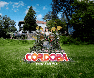 Publicidad
